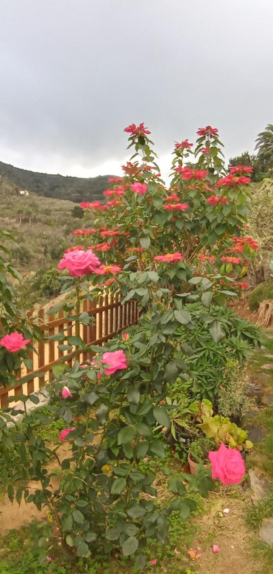 Villa Casa Maria Agulo Zimmer foto